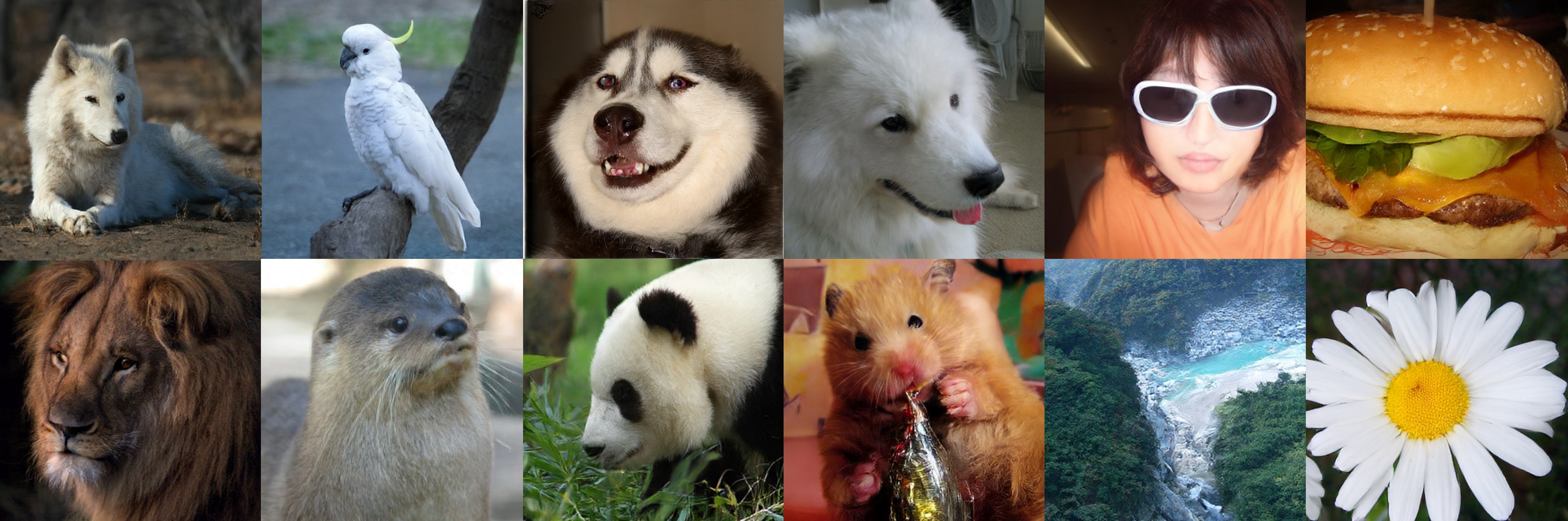 ImageNet 512x512 samples generated in the DC-SAE latent space