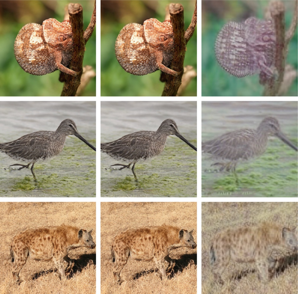 Reconstructions with full latent, semantic masked, pixel masked